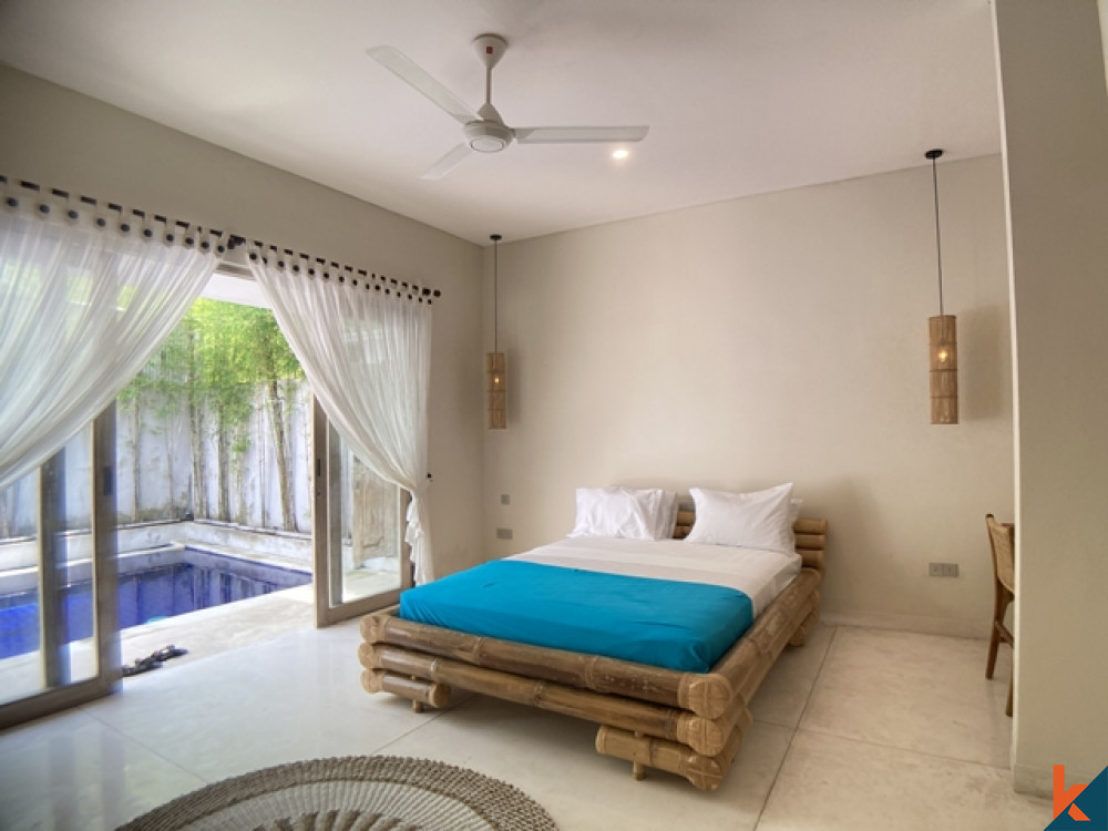Brand New Beautiful 2 Bedroom Villa with Ricefield View in Kerobokan for Sale