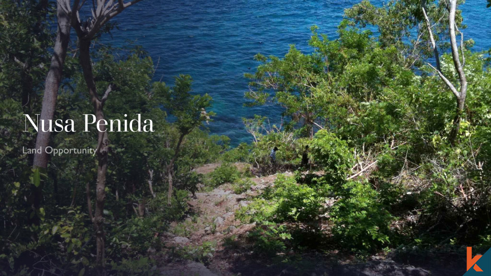 Ocean View Clifftop Land in Nusa Penida for Sale