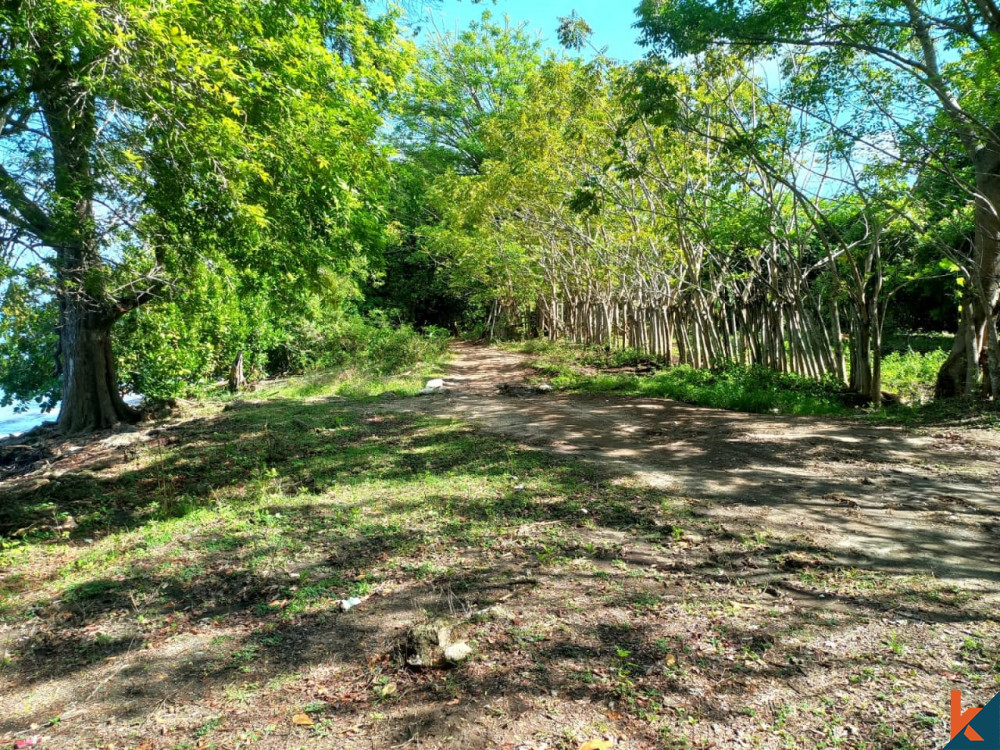 Terrain en bord de mer de bonne valeur à Gili Moyo à vendre