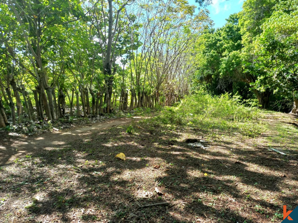 Terrain en bord de mer de bonne valeur à Gili Moyo à vendre