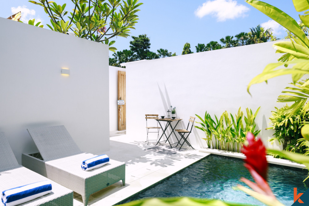 Brand New Modern Villa For Sale in Prime Location of Seminyak