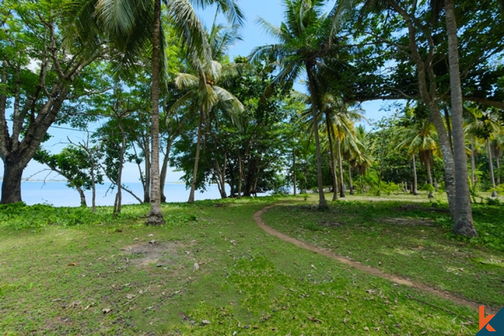 Lahan Pinggir Pantai Langka di Gili Gede