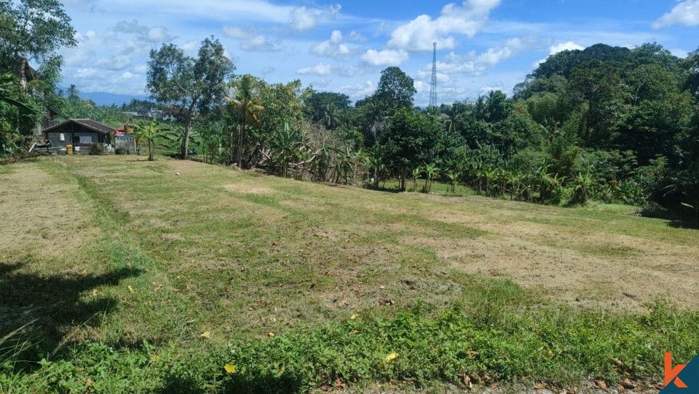 Nice Plot of Land in Nyanyi for Sale