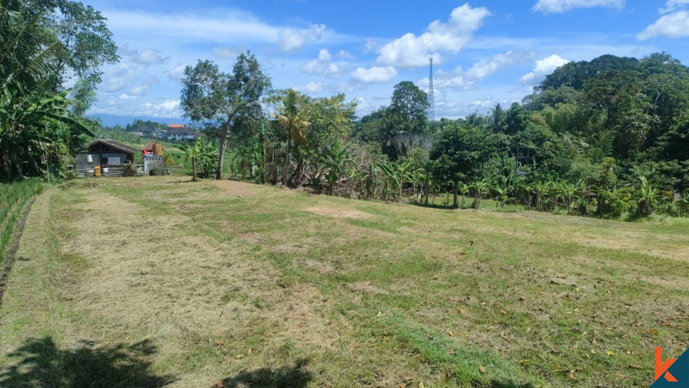 Nice Plot of Land in Nyanyi for Sale