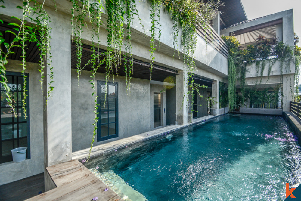 Freehold Investment Apartment Building in Seminyak