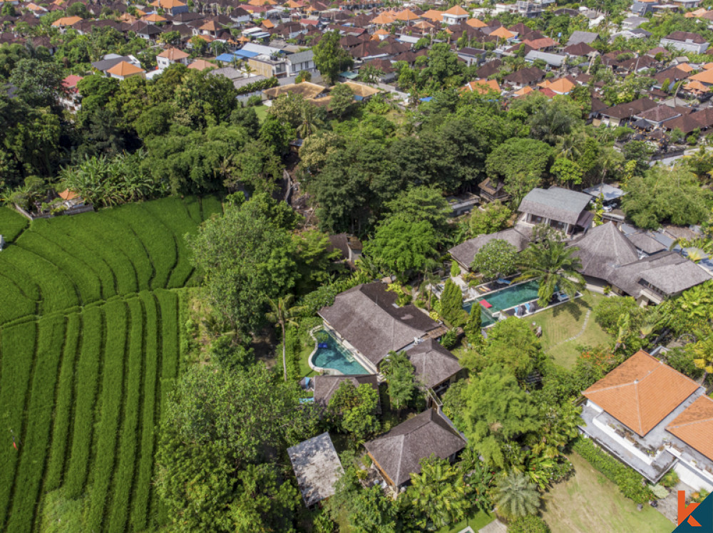 Menakjubkan Freehold Riverside dengan Ricefield View Villa Dijual di Pererenan