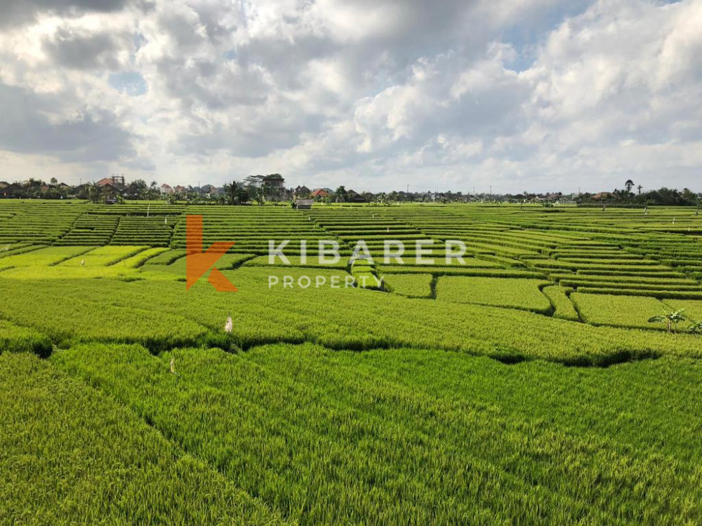 Gorgeous Three Bedroom + Mezzanine Villa with rice field view in Cemagi ( minimum 3 months rental )