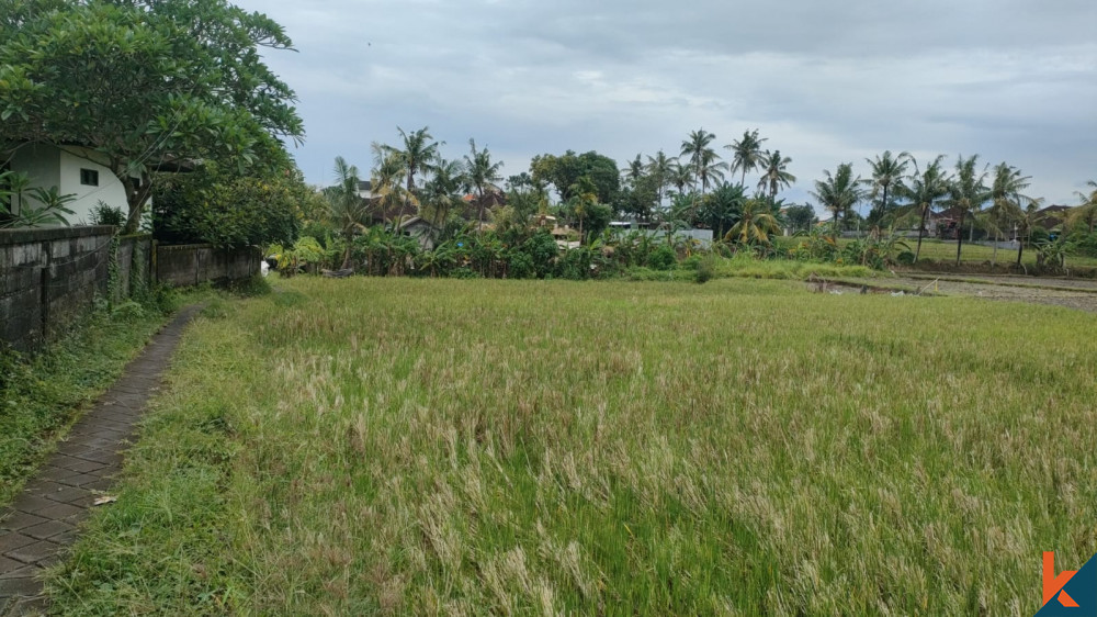 Nice Plot with Ricefield View and Peaceful Neighborhood in Tumbak Bayuh for Sale