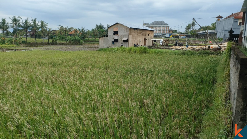 Nice Plot with Ricefield View and Peaceful Neighborhood in Tumbak Bayuh for Sale