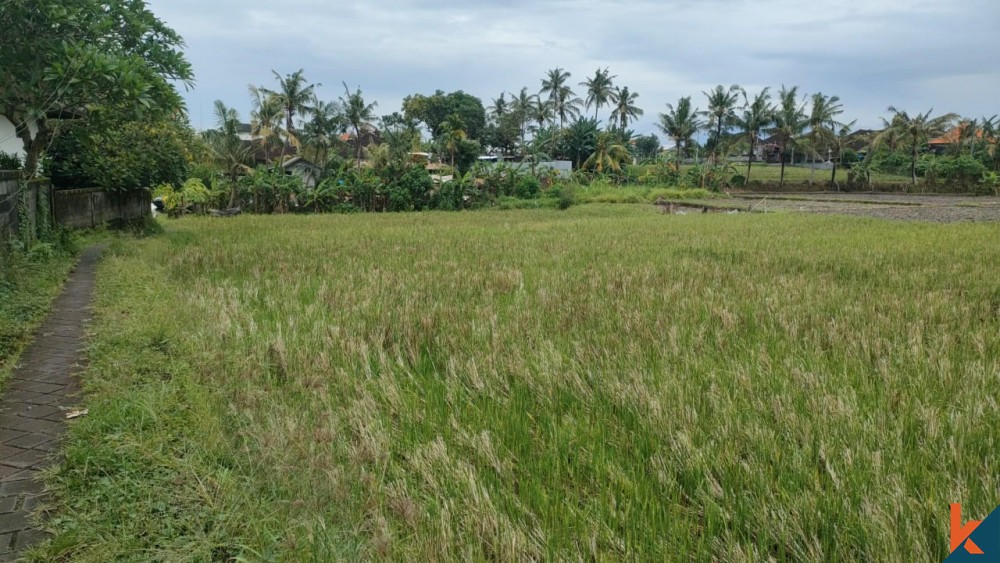 Nice Plot with Ricefield View and Peaceful Neighborhood in Tumbak Bayuh for Sale