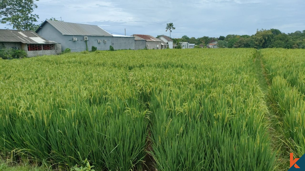 Nice Plot 14.5 ARE in Pererenan for Sale