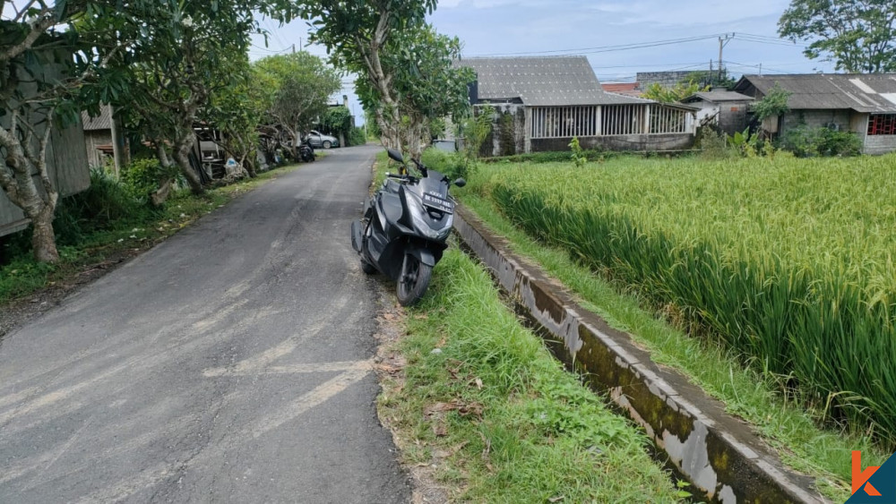 Nice Plot 14.5 ARE in Pererenan for Sale