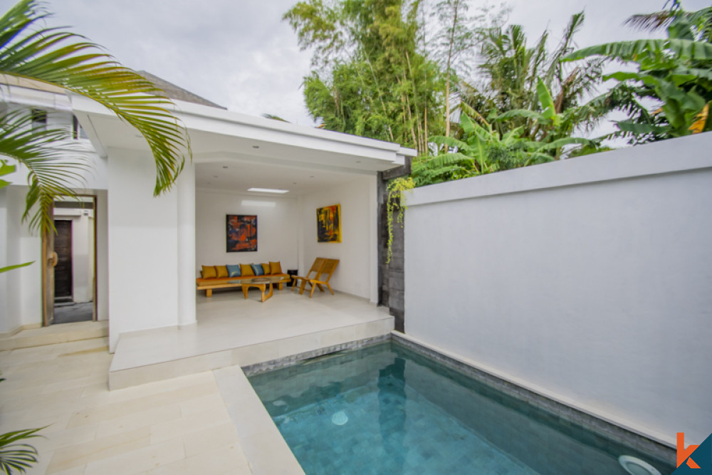 Good Investment Opportunity in Seminyak