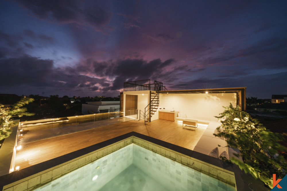 Upcoming Two Bedrooms Stunning Villa for Lease in Canggu