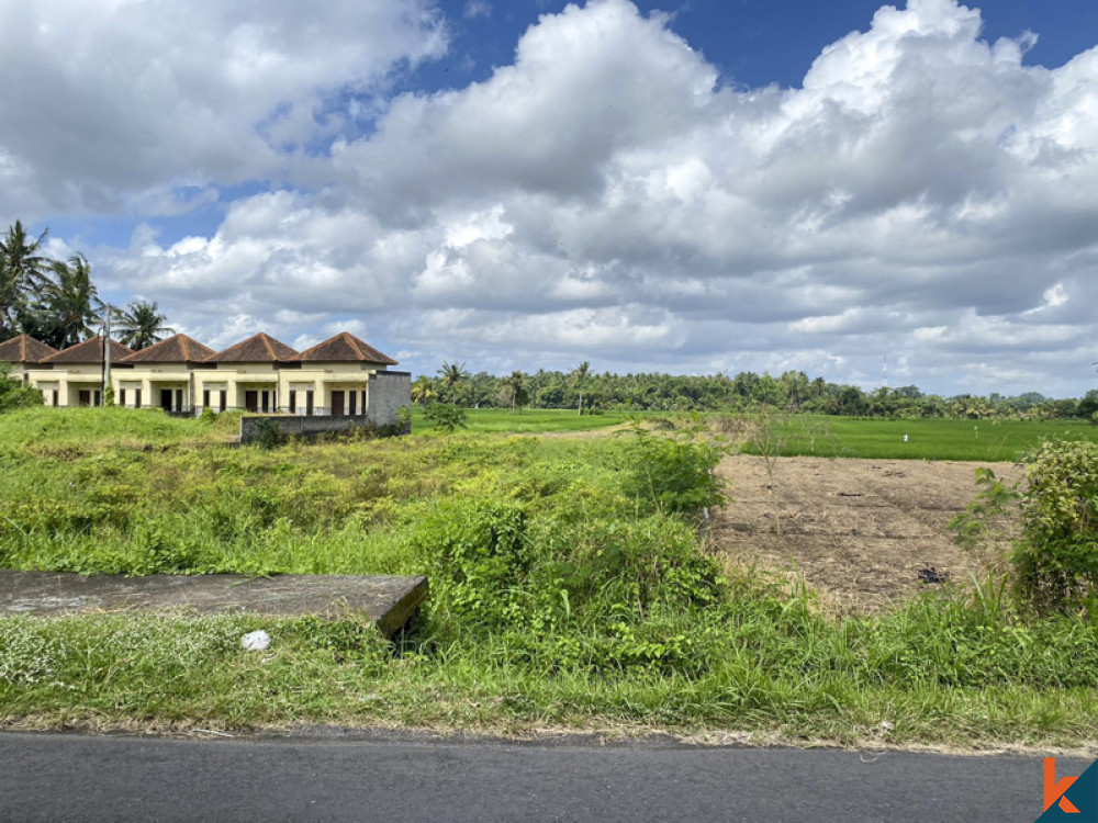 Spacious Land for Sale In Tabanan