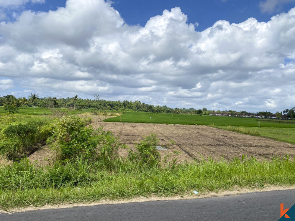 Terrain spacieux à vendre à Tabanan