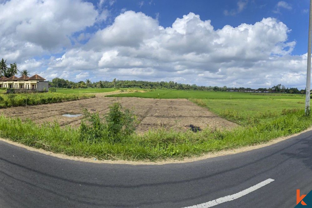 Terrain spacieux à vendre à Tabanan