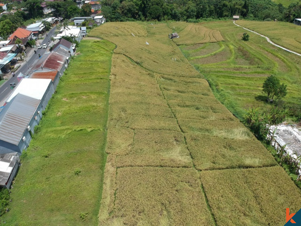 Nice Plot 14.5 ARE in Pererenan for Sale