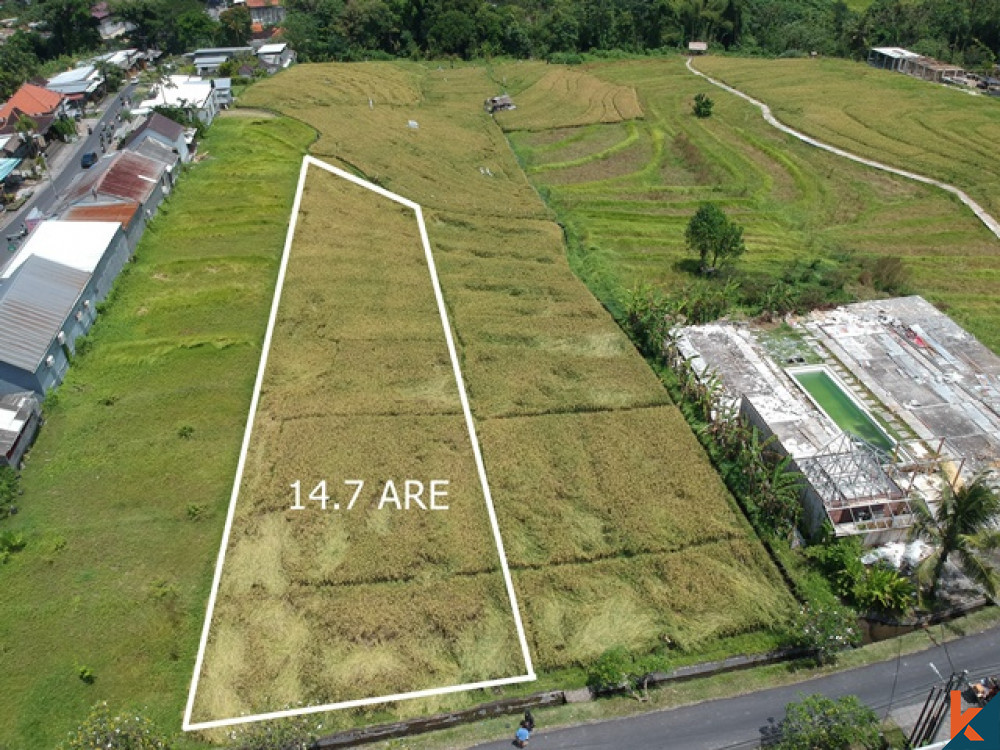 Luxurious Five Bedrooms Freehold Villa for Sale in Canggu