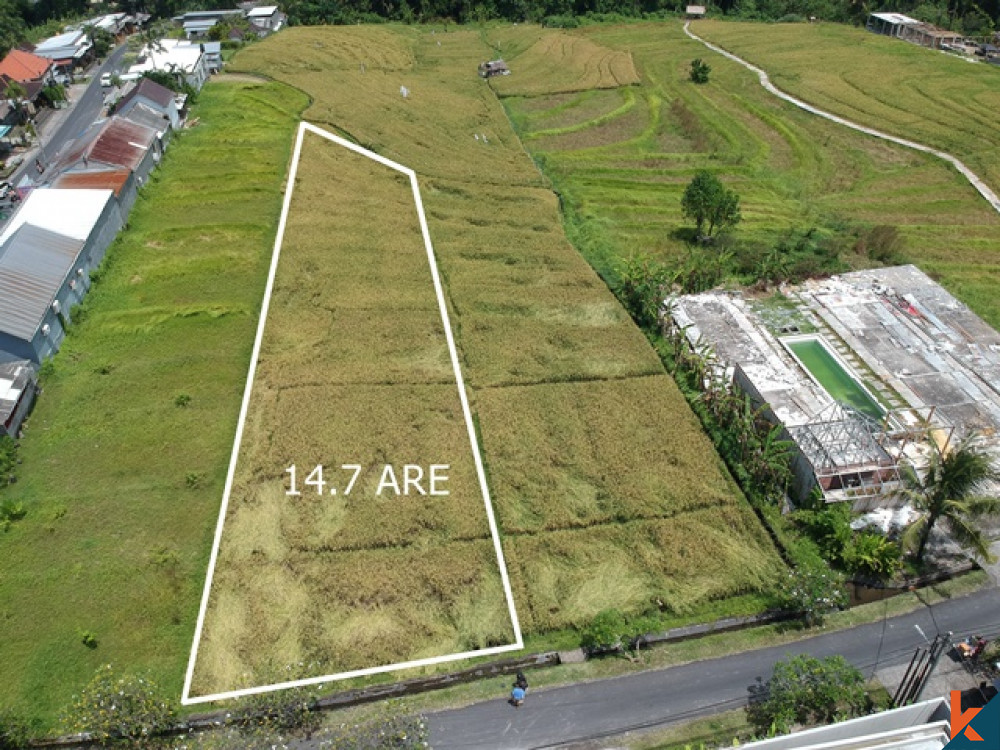 Nice Plot 14.5 ARE in Pererenan for Sale