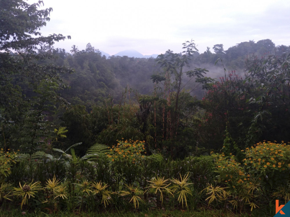 Freehold Wooden House with Amazing View in Gianyar