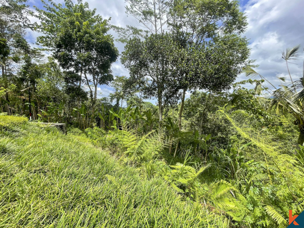 Freehold Wooden House with Amazing View in Gianyar