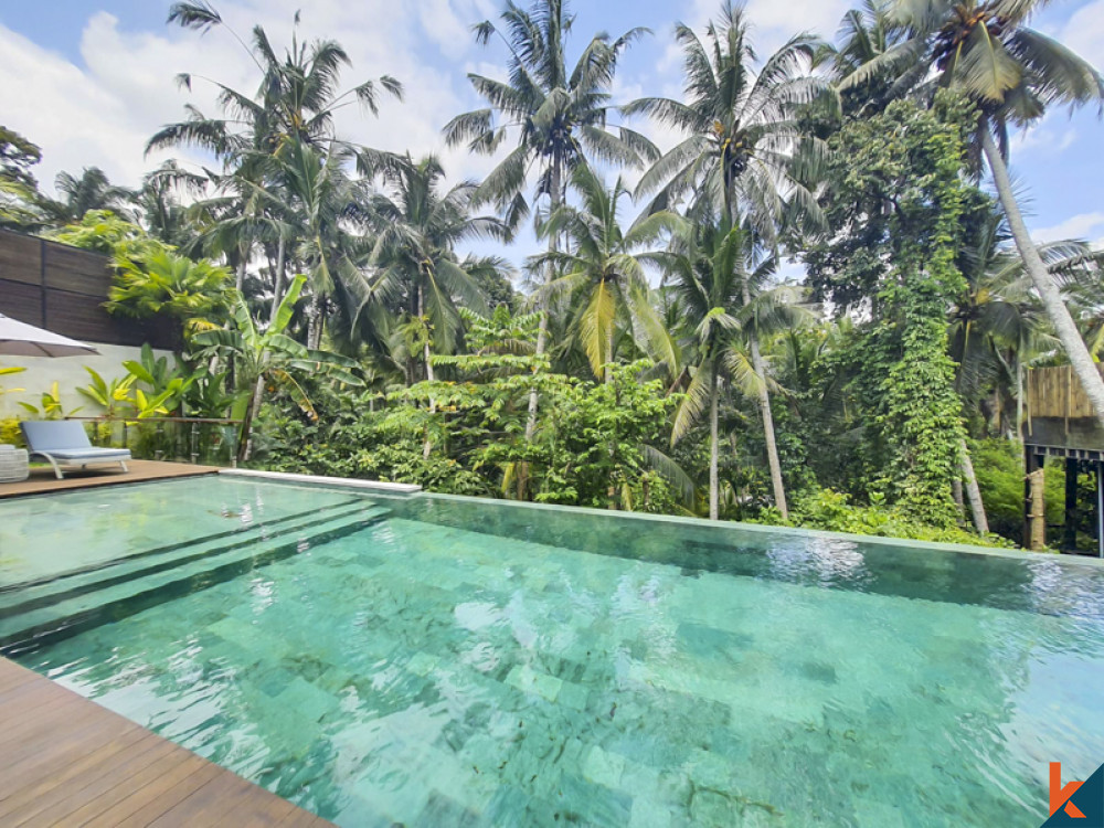 Vila Modern Mewah dengan Pemandangan Hutan Menakjubkan Di Ubud