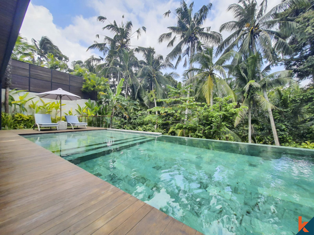 Vila Modern Mewah dengan Pemandangan Hutan Menakjubkan Di Ubud