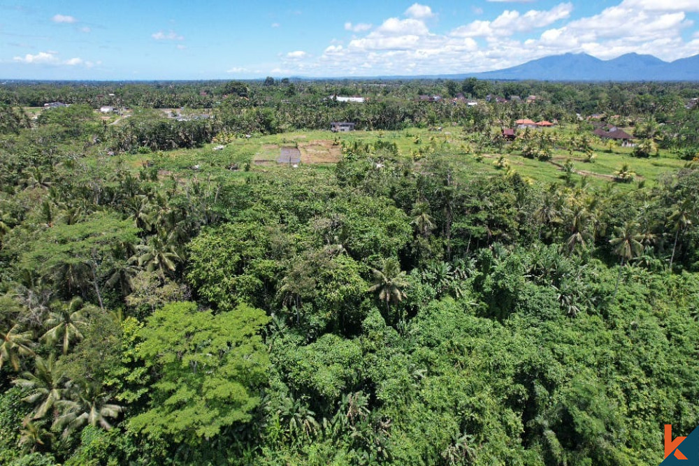 high rental opportunity land in ubud for sale