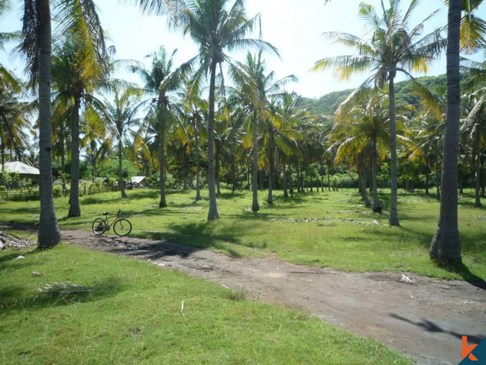 80 Are Free Hold Land for Sale - Gili Trawangan