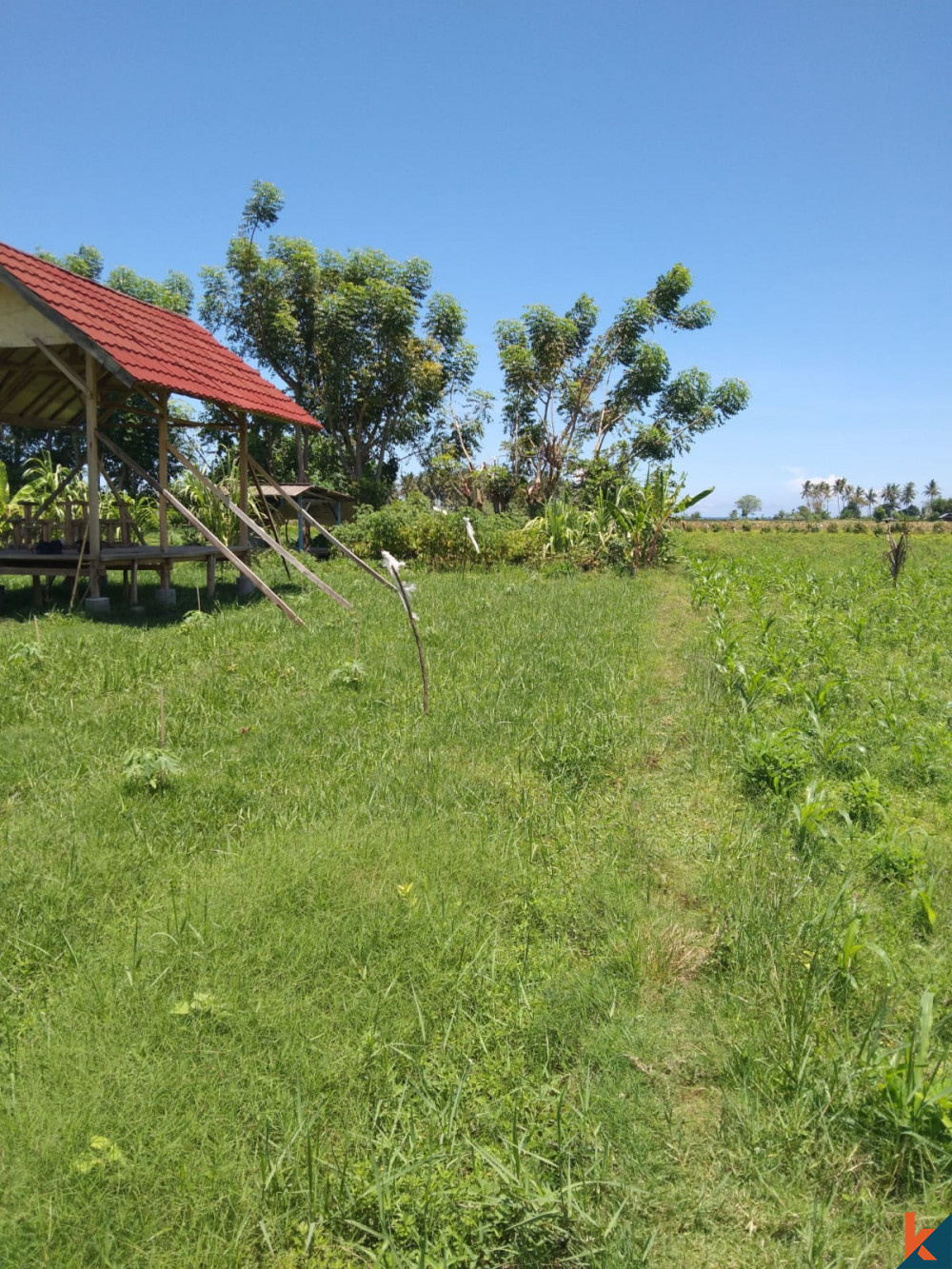 Terrain exquis de 4 Are avec vue imprenable à Lombok à vendre