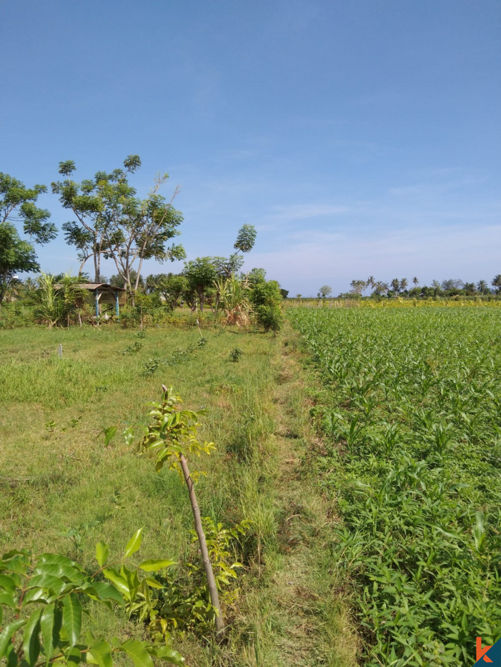 Terrain exquis de 4 Are avec vue imprenable à Lombok à vendre