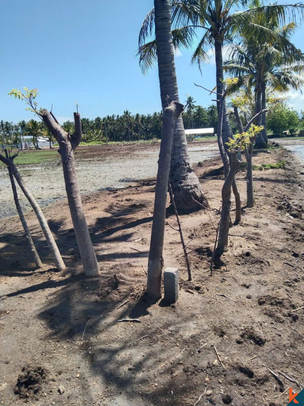 Paradis Panoramique: Terrain Exquis de 12 Ares avec une vue Imprenable à Lombok