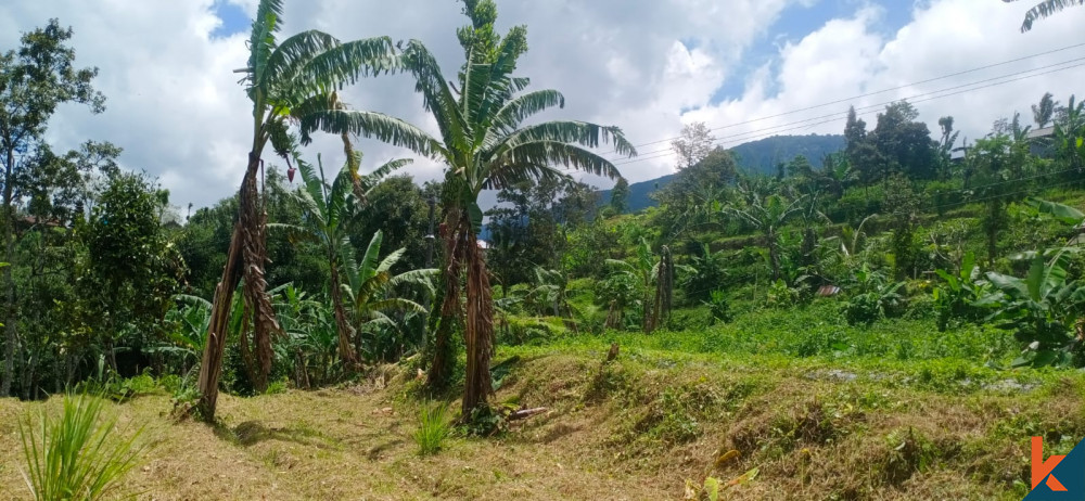 Discover the Potential Land in Tabanan