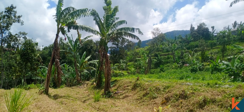 Découvrez le potentiel d'un terrain à Tabanan