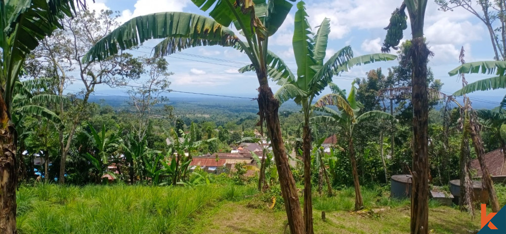 Découvrez le potentiel d'un terrain à Tabanan