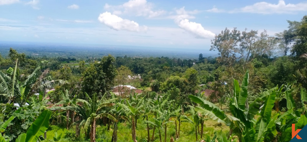 Découvrez le potentiel d'un terrain à Tabanan