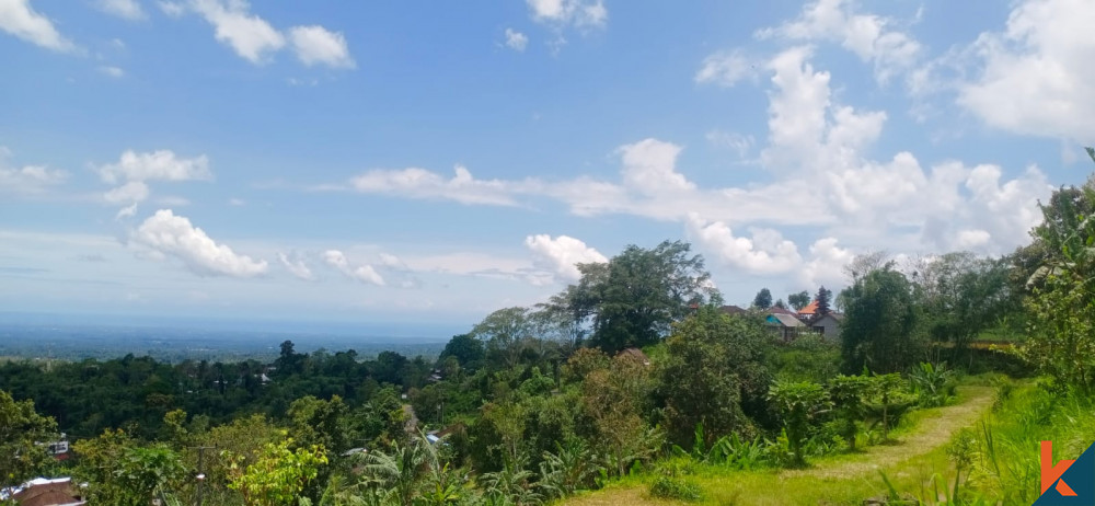 Découvrez le potentiel d'un terrain à Tabanan