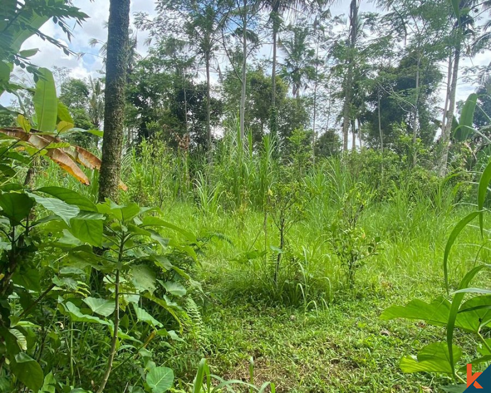 Terrain de premier choix en pleine propriété de 20 ares disponible à Gianyar