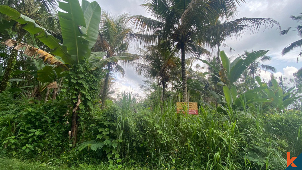 Terrain de premier choix en pleine propriété de 20 ares disponible à Gianyar