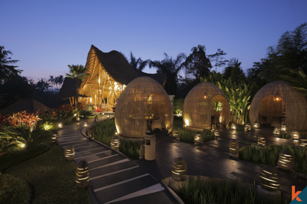 Lodge de luxe avec vue sur la jungle et les rizières à louer à Ubud