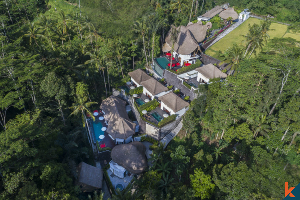 Penginapan Mewah Dengan Pemandangan Hutan dan Sawah untuk Disewakan di Ubud