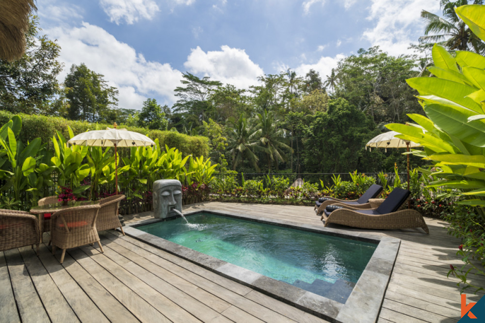 Penginapan Mewah Dengan Pemandangan Hutan dan Sawah untuk Disewakan di Ubud