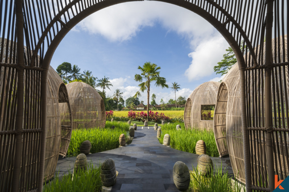 Lodge de luxe avec vue sur la jungle et les rizières à louer à Ubud