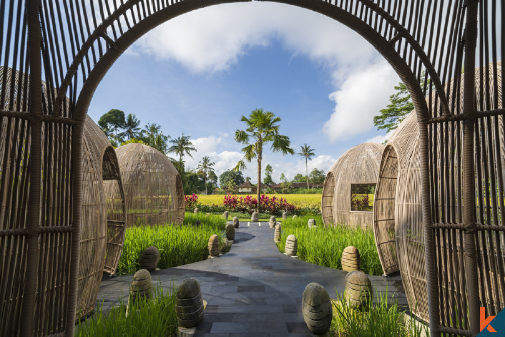 Penginapan Mewah Dengan Pemandangan Hutan dan Sawah untuk Disewakan di Ubud