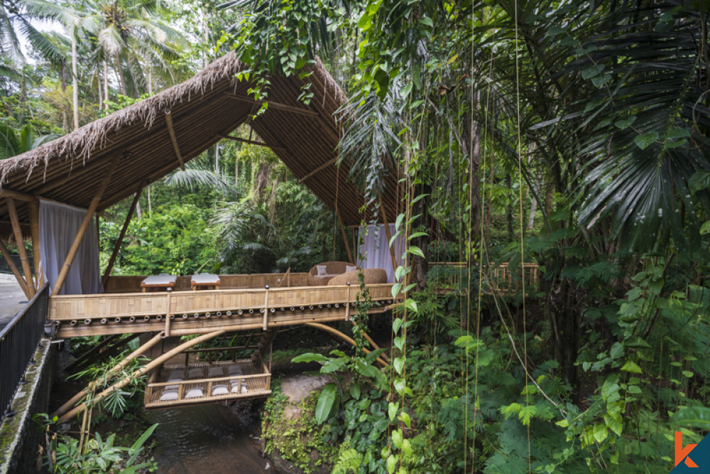 Penginapan Mewah Dengan Pemandangan Hutan dan Sawah untuk Disewakan di Ubud