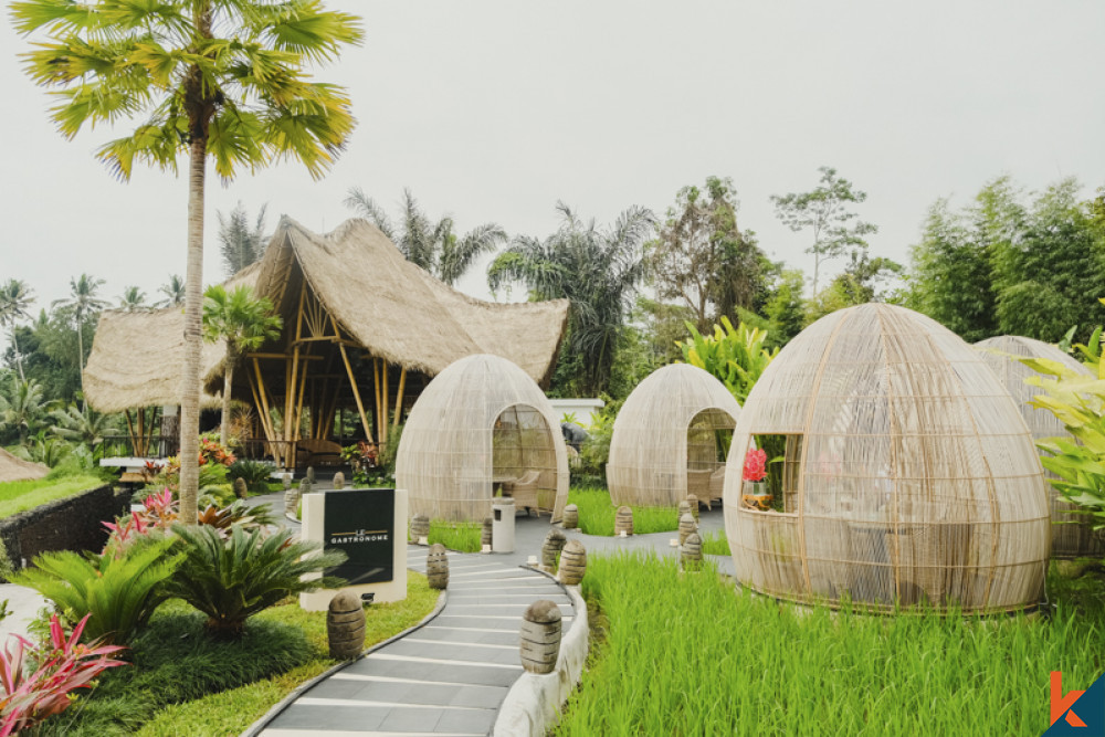 Penginapan Mewah Dengan Pemandangan Hutan dan Sawah untuk Disewakan di Ubud