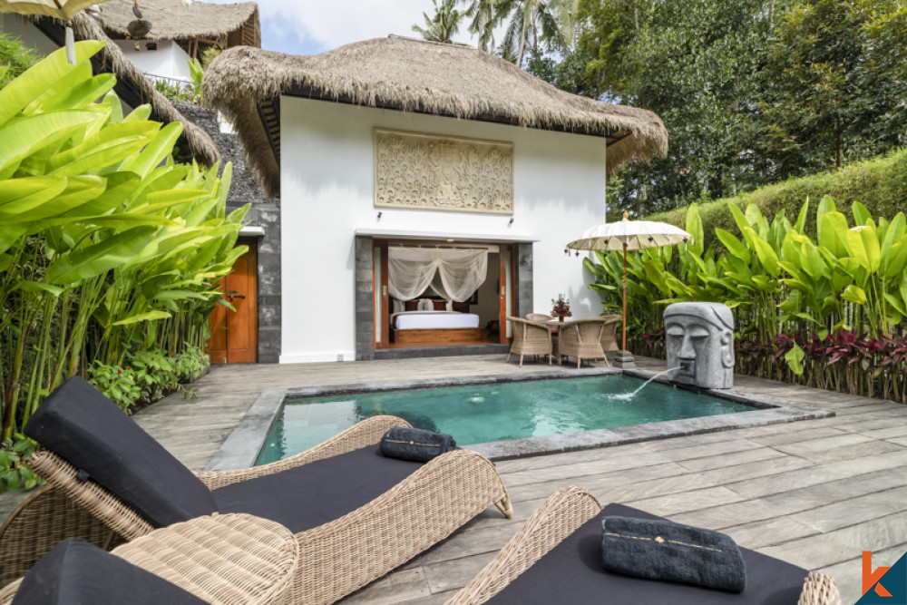 Lodge de luxe avec vue sur la jungle et les rizières à louer à Ubud