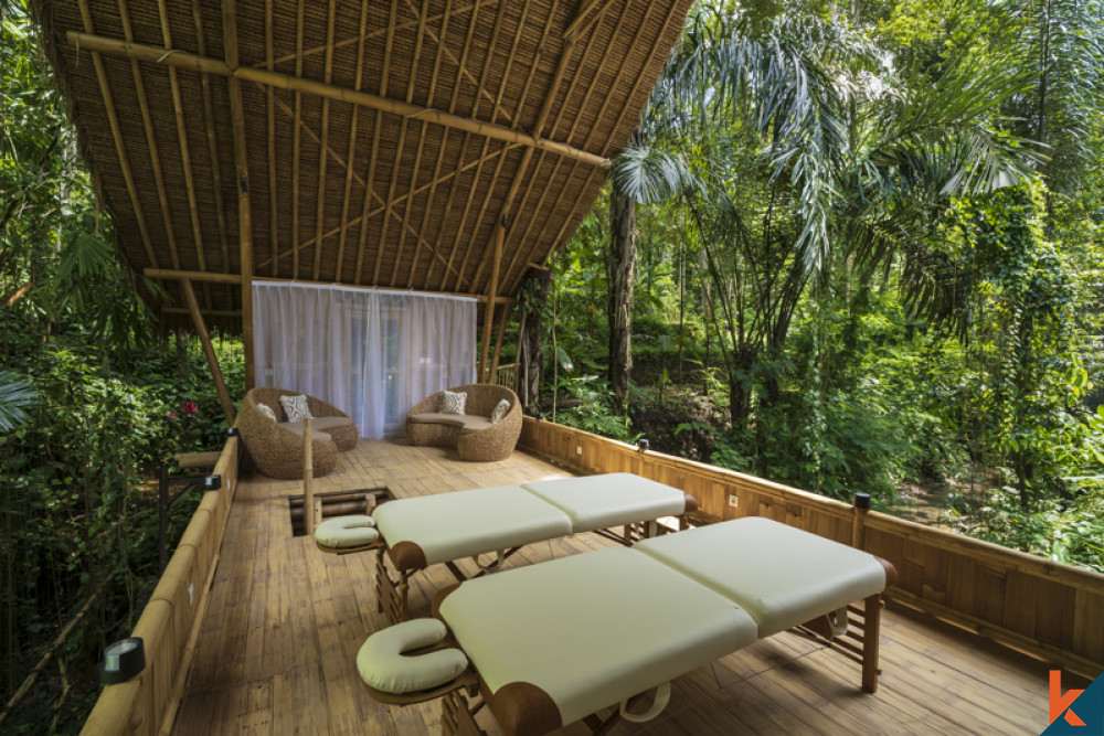 Lodge de luxe avec vue sur la jungle et les rizières à louer à Ubud