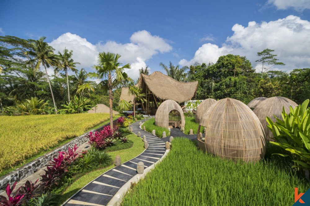 Penginapan Mewah Dengan Pemandangan Hutan dan Sawah untuk Disewakan di Ubud